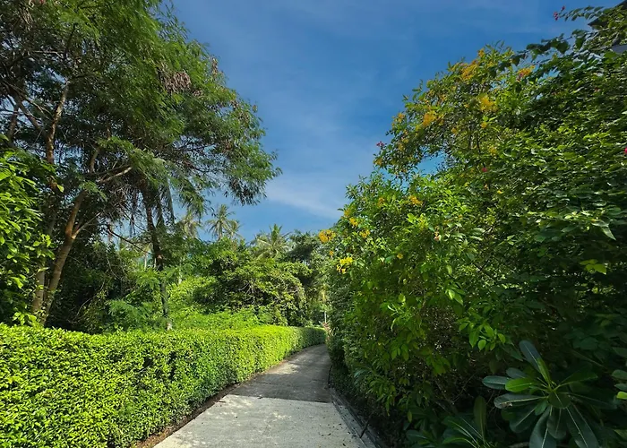 Lulu Villa